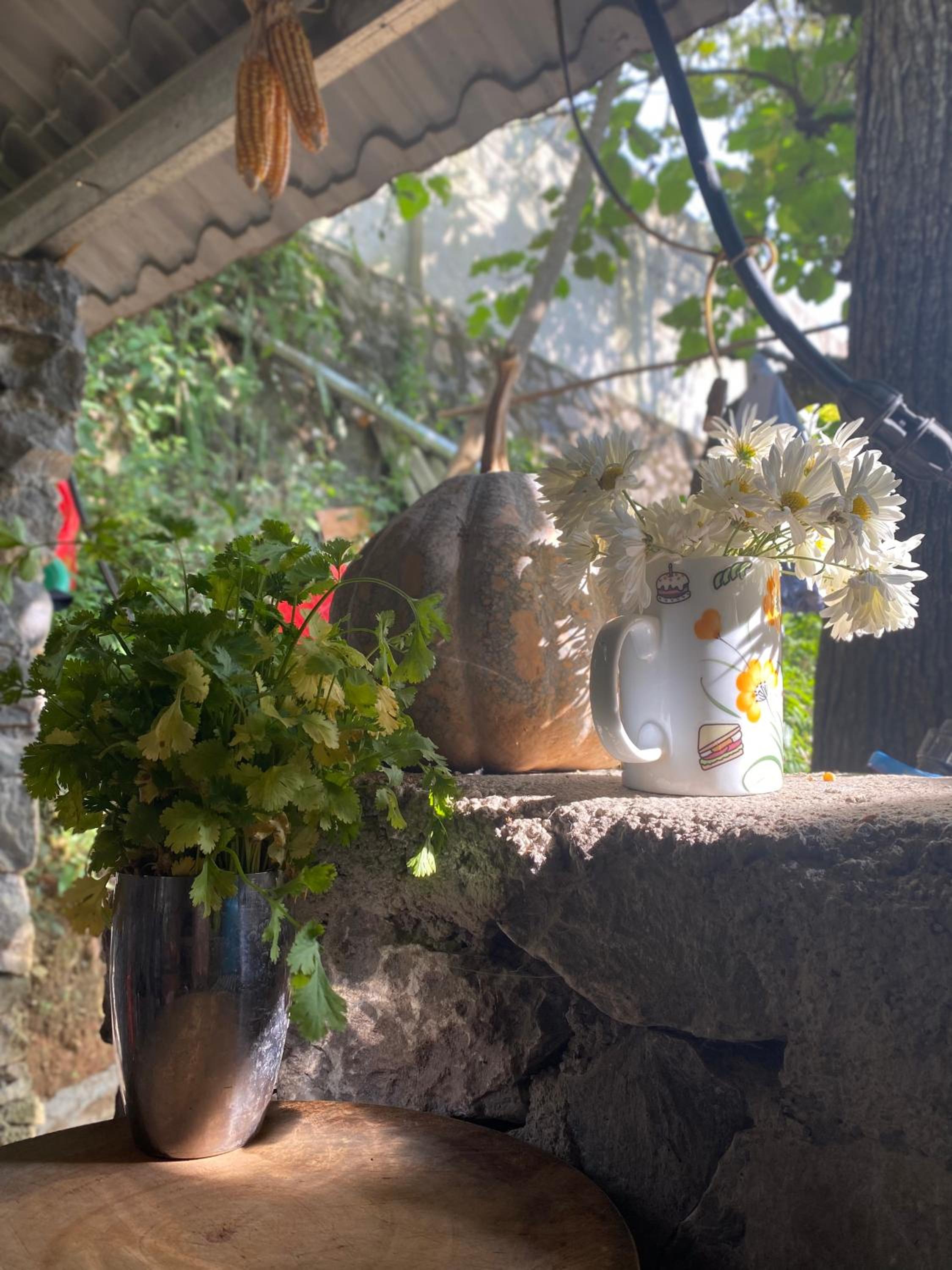 Le Petit Home