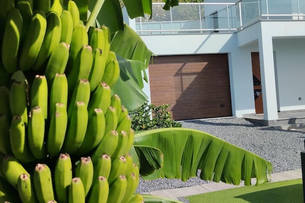 O pomar - A quiet SUNNY place with amazing SEA views view 2