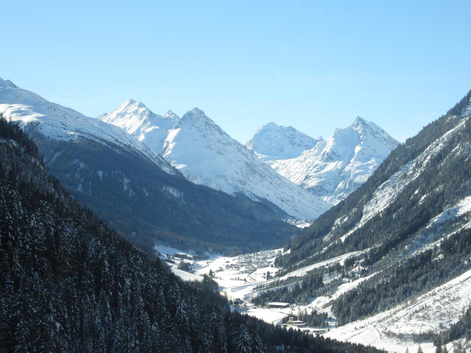Photo 41