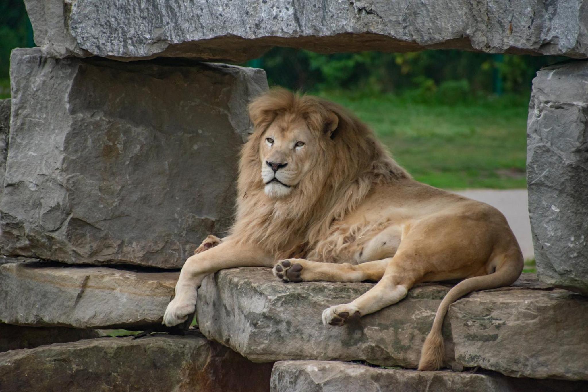 Kitchener Vacations - Holiday Inn Express  Suites Kitchener Southeast, an IHG Hotel - Property Image 39