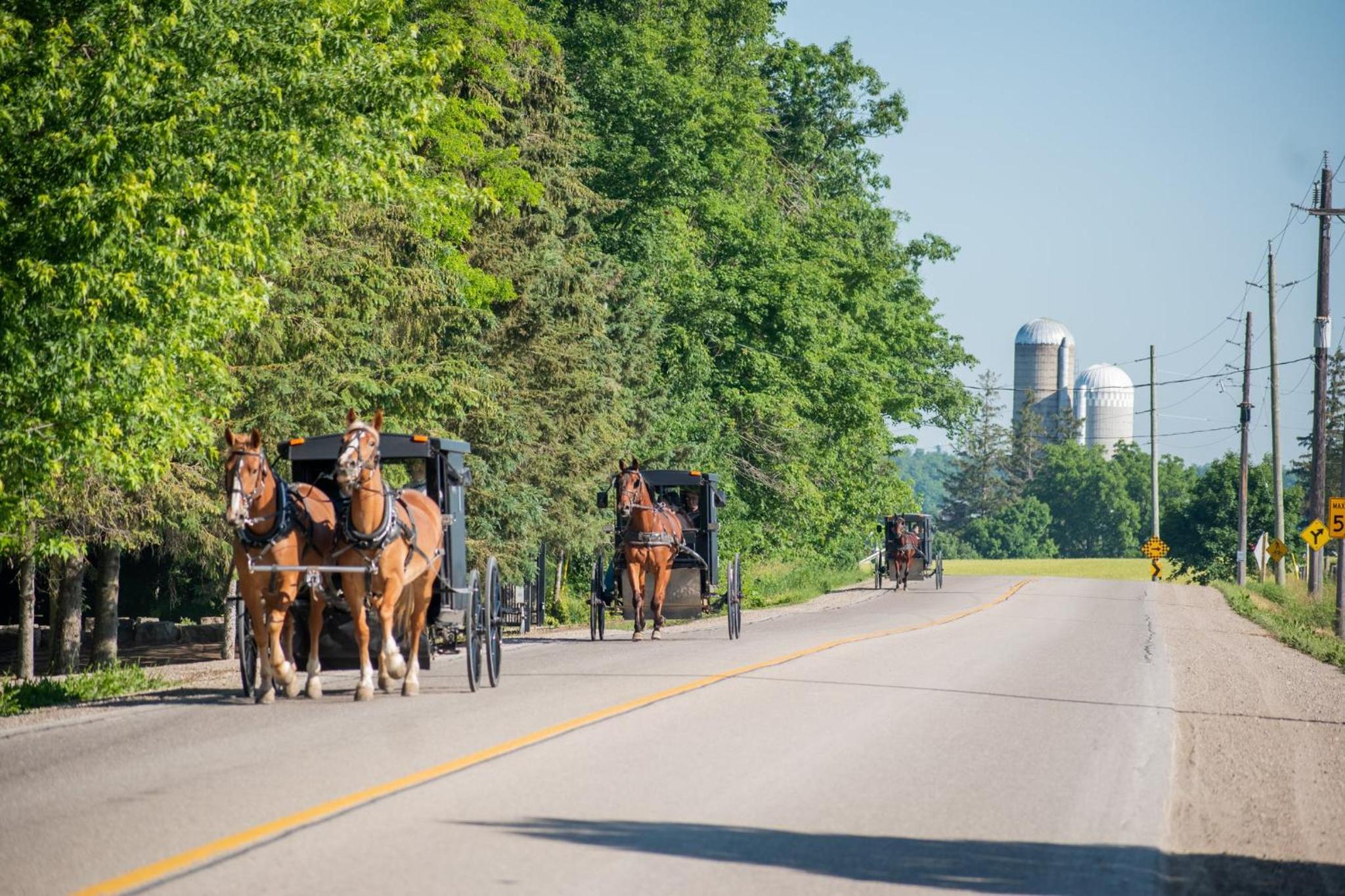 Kitchener Vacations - Holiday Inn Express  Suites Kitchener Southeast, an IHG Hotel - Property Image 91