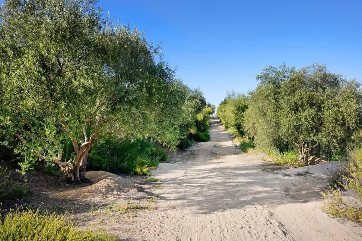 Topanga Ranch Villa - Property Image 23