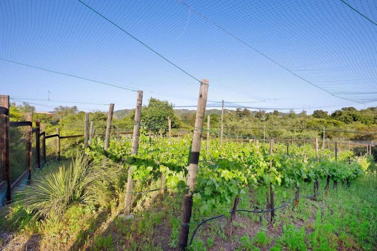 Topanga Ranch Villa - Property Image 24