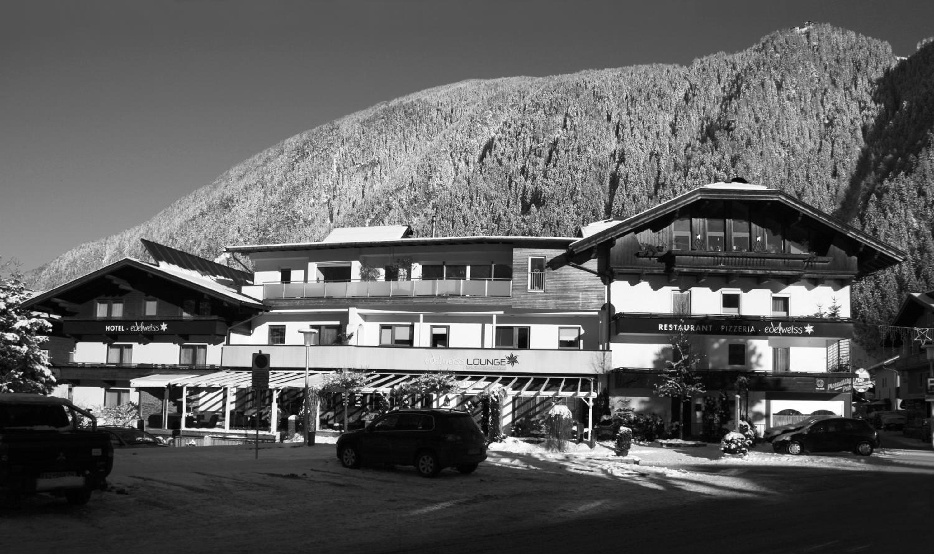 edelweiss lounge restaurant hotel pizza cafe billard gasthof