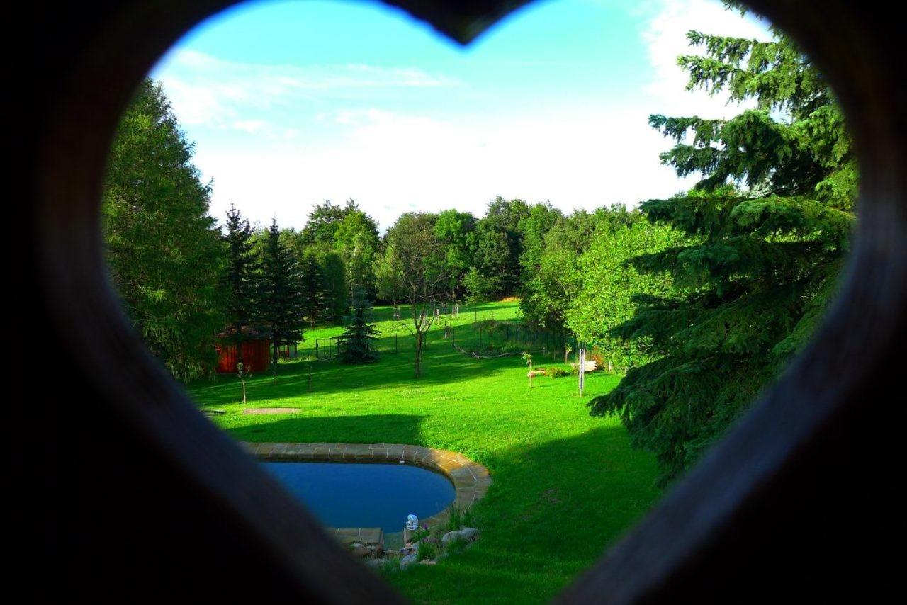 Guest House Sněžník