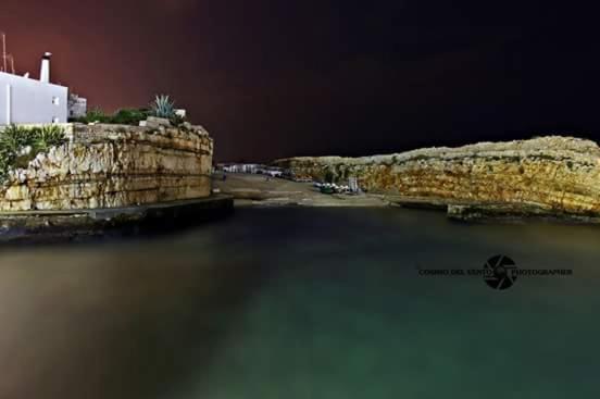Photo 48