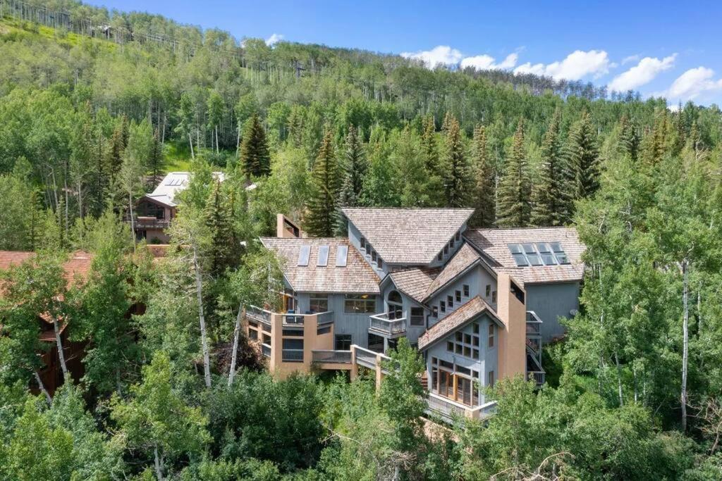 5 Bed with loft 6ba ski in and out amazing views Beaver Creek view 4