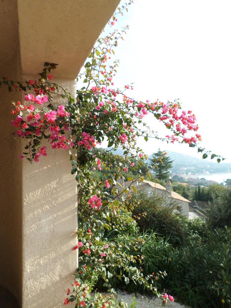 Photo 82