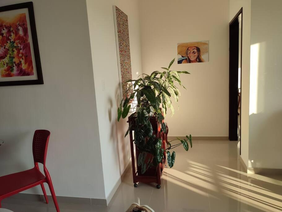 Bonito apartamento barrio residencial