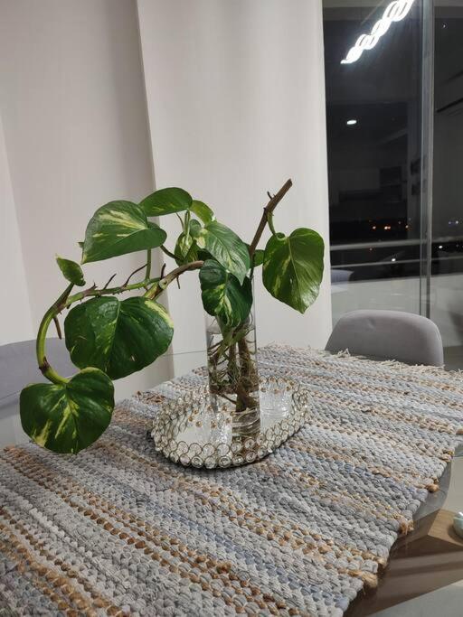 Bonito apartamento barrio residencial