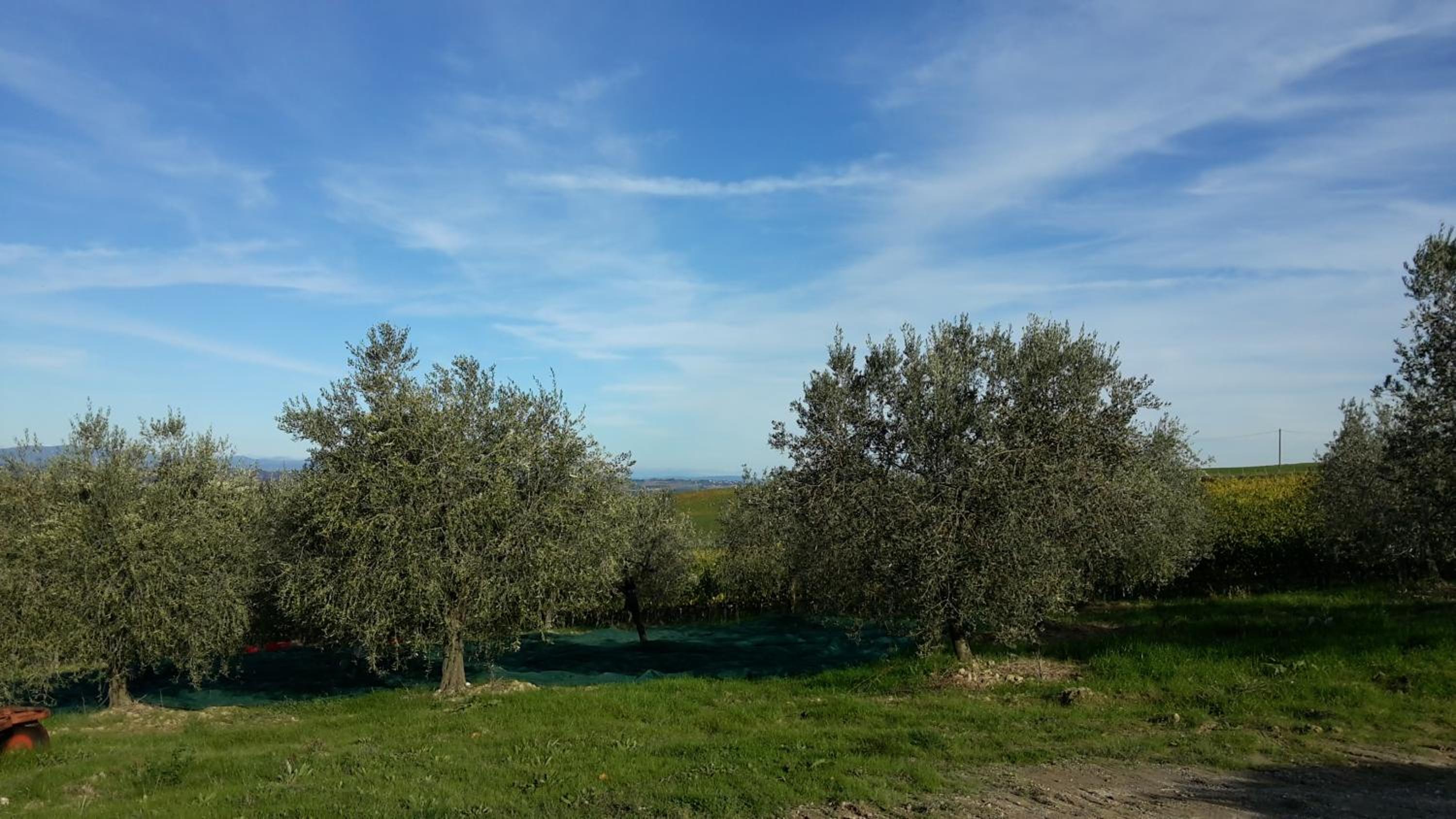 Agriturismo Podere Casa al Vento