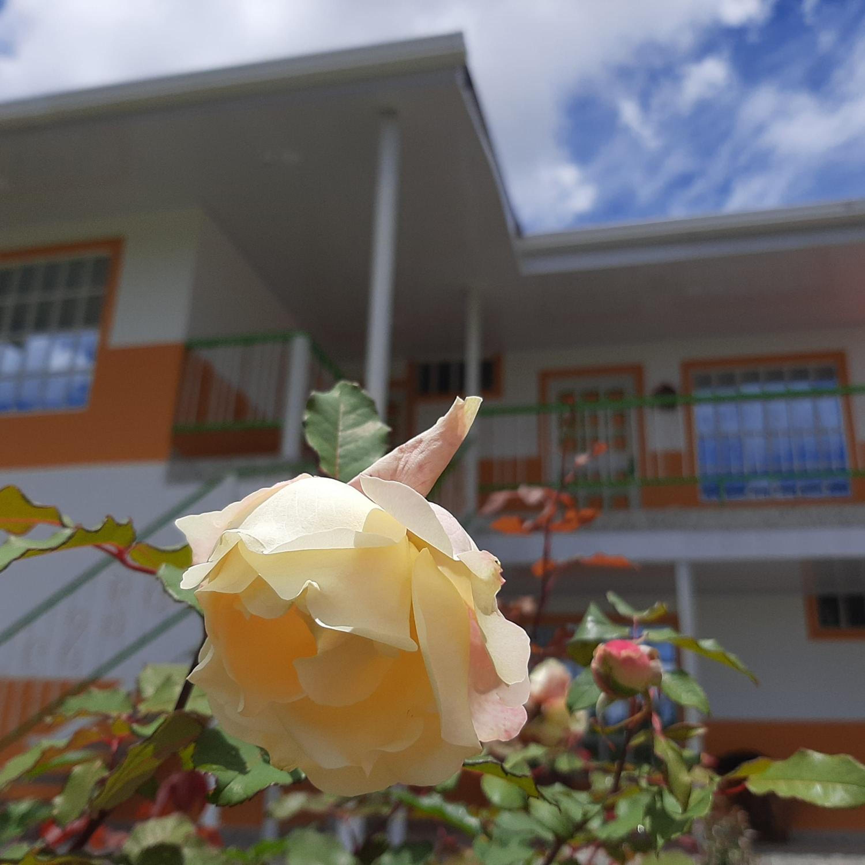 Las Chapoleras del Quindío