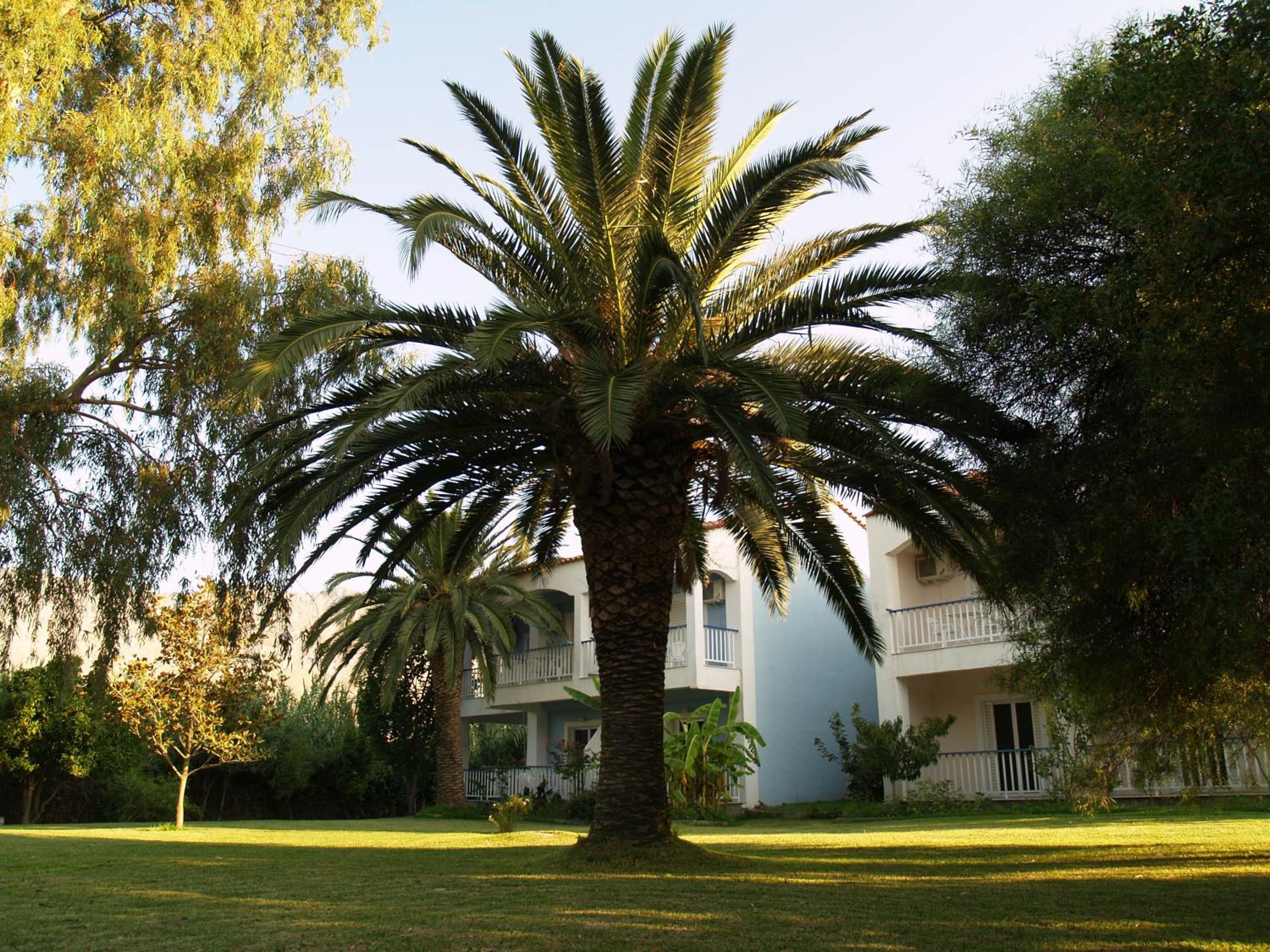 Hotel Cavo Mytikas - Property Image 15