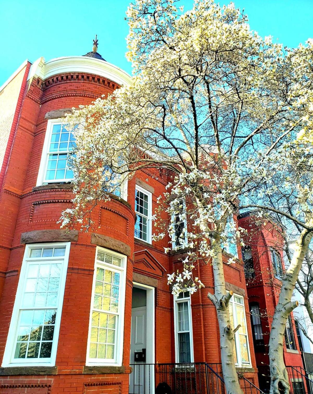 Wonderful townhouse in center of Washington DC — Washington