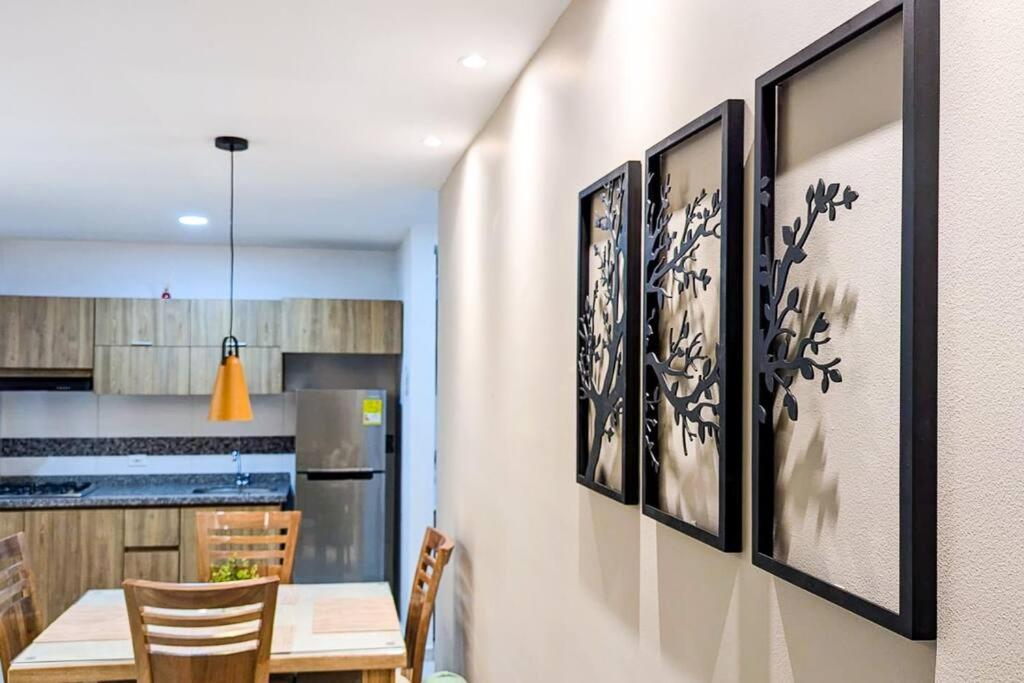 501S Estilo y Confort en Ibagué