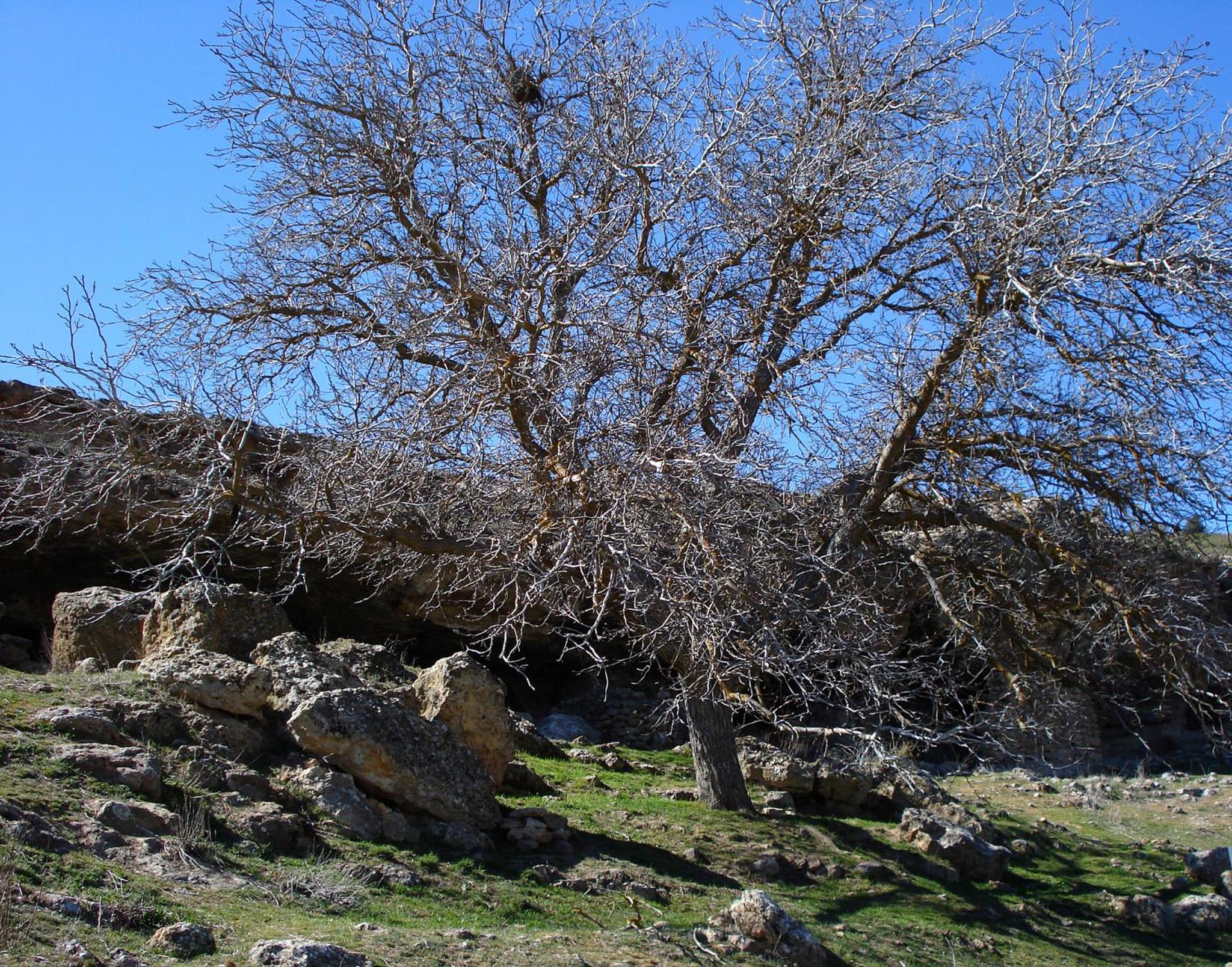 Photo 31