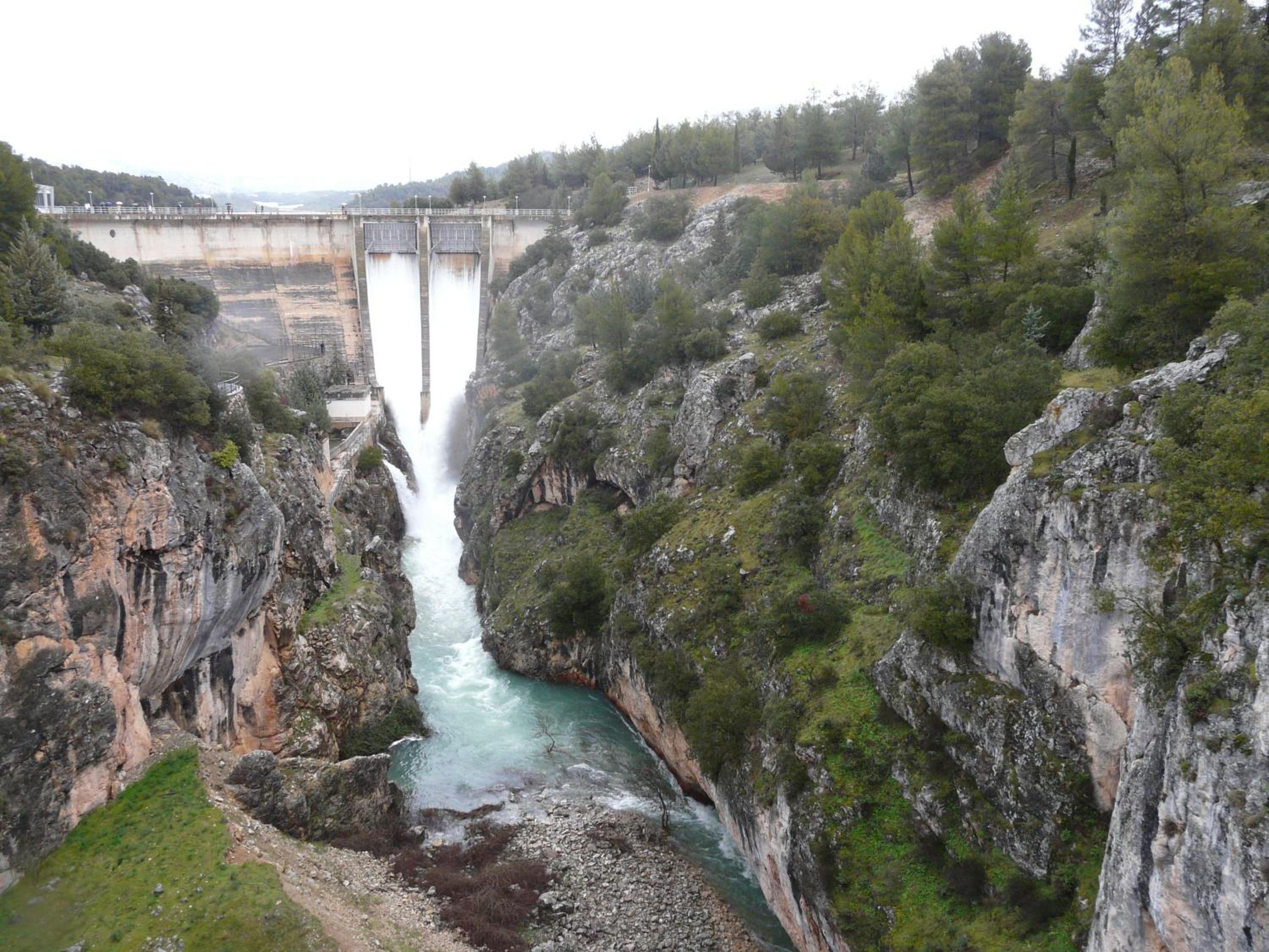 Photo 42