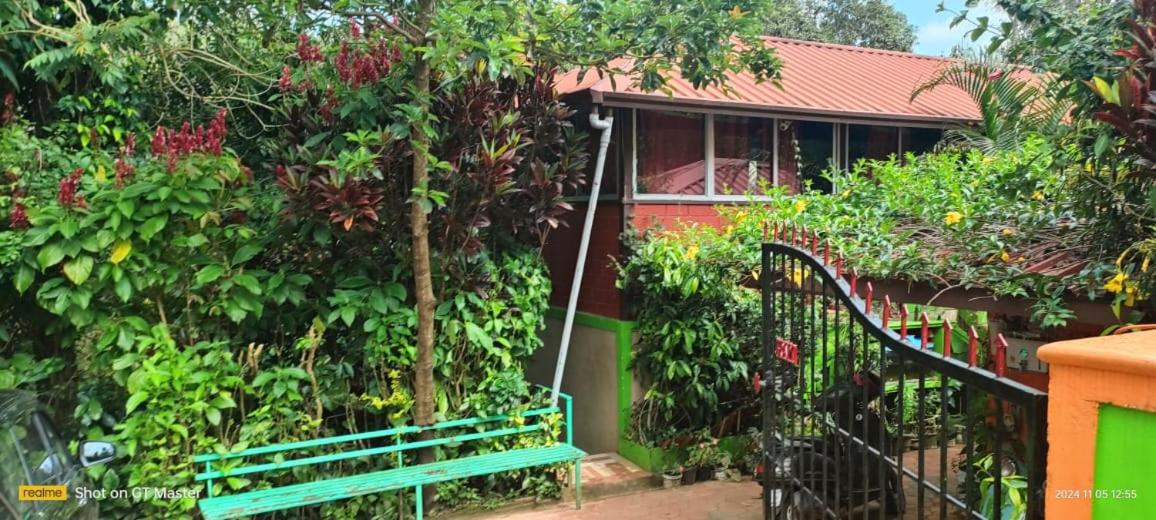 Bhagavathi Holiday Homes Coorg