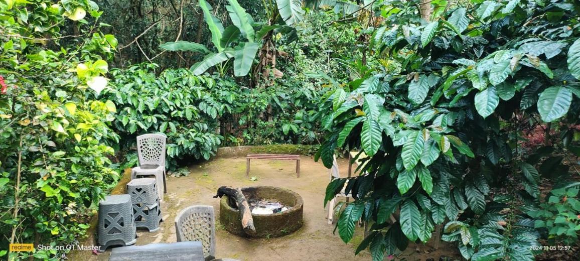 Bhagavathi Holiday Homes Coorg