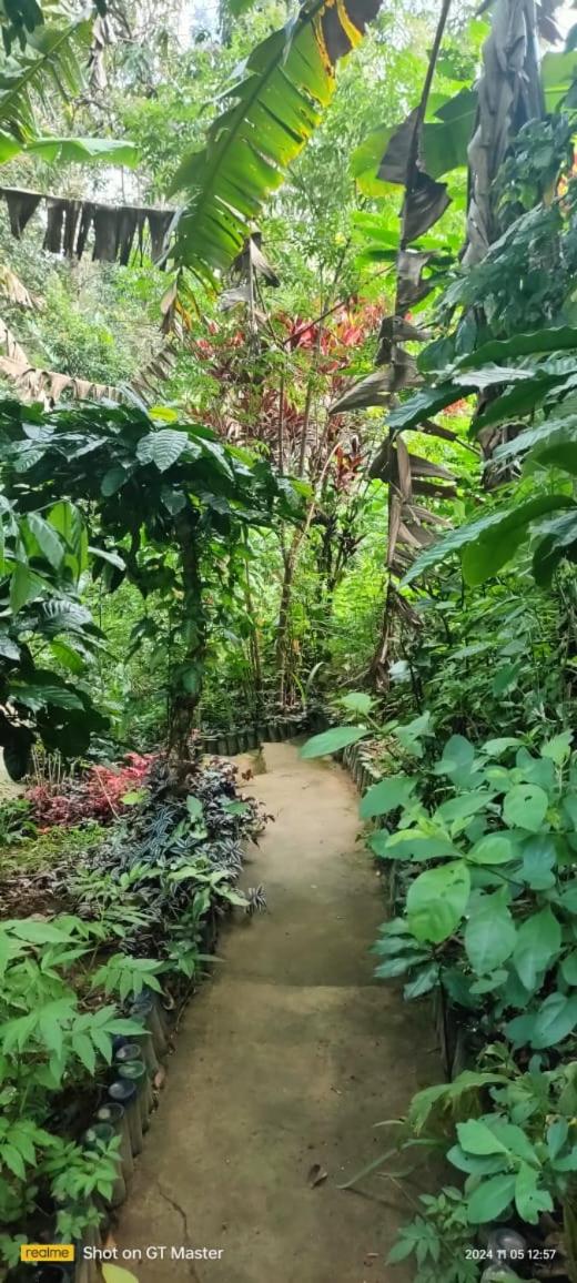 Bhagavathi Holiday Homes Coorg