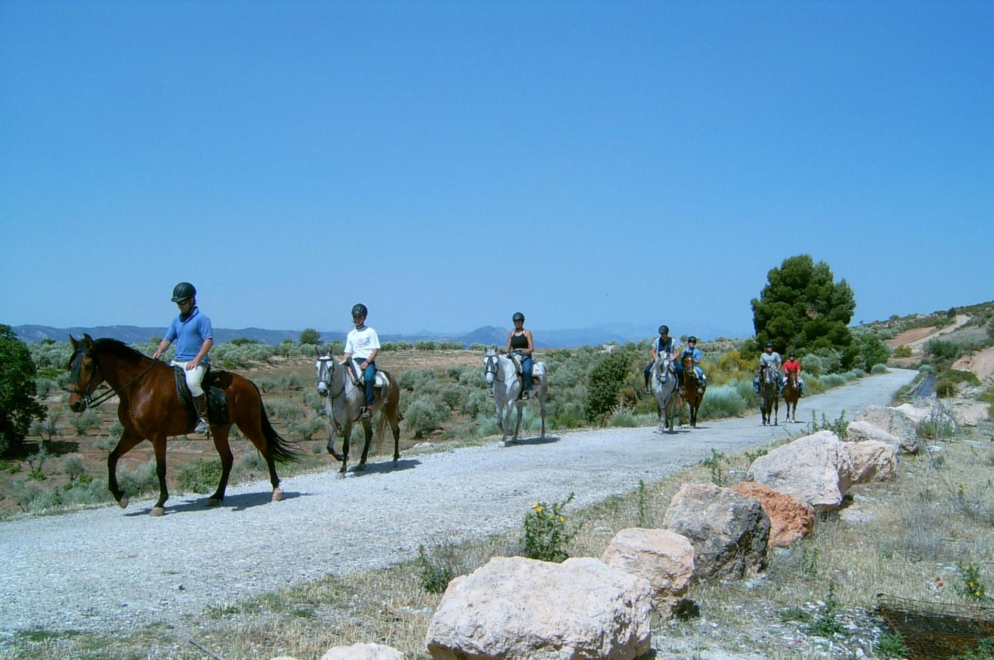 Photo 46
