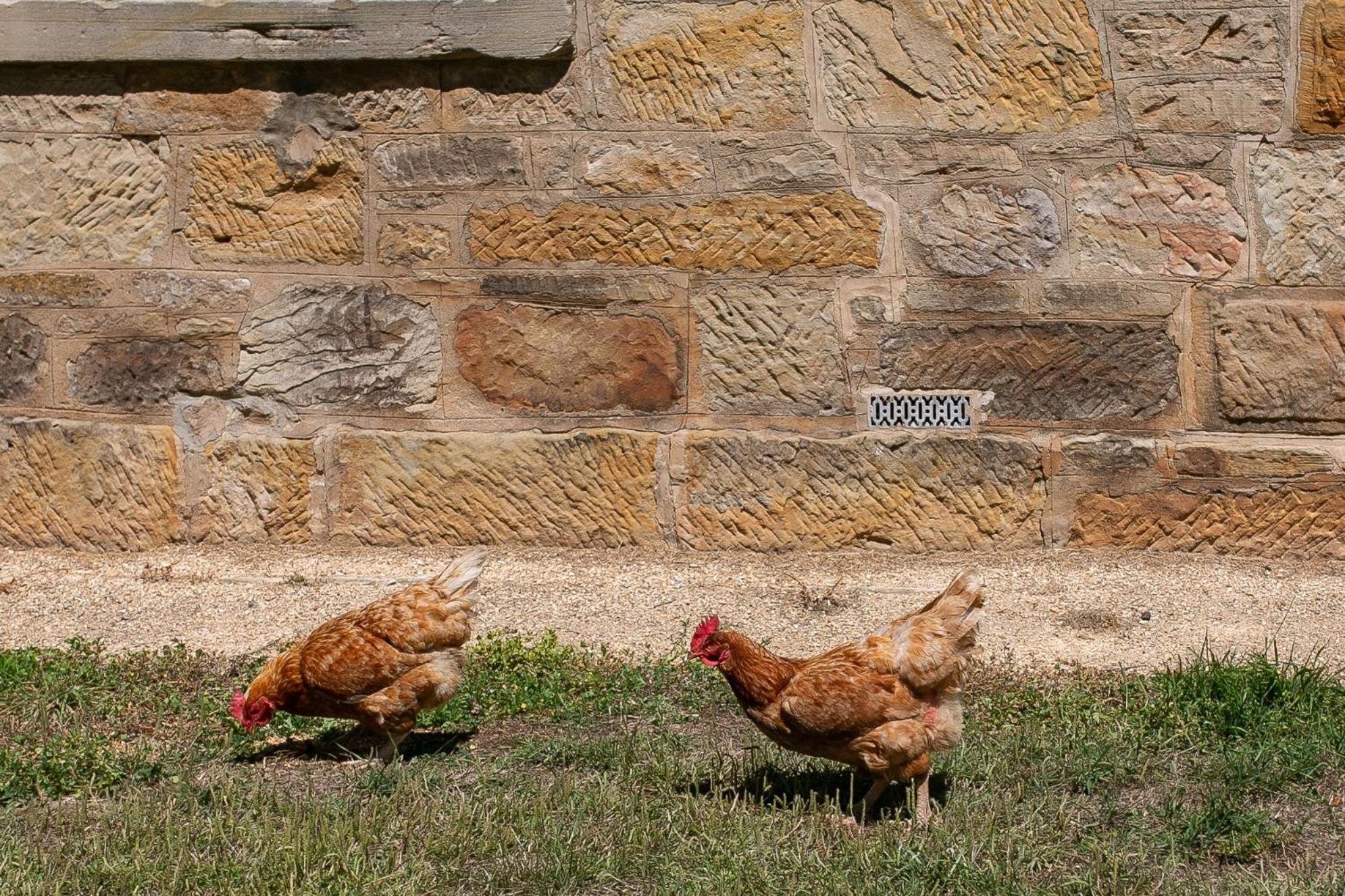 Historic Sandstone Ross Farmhouse