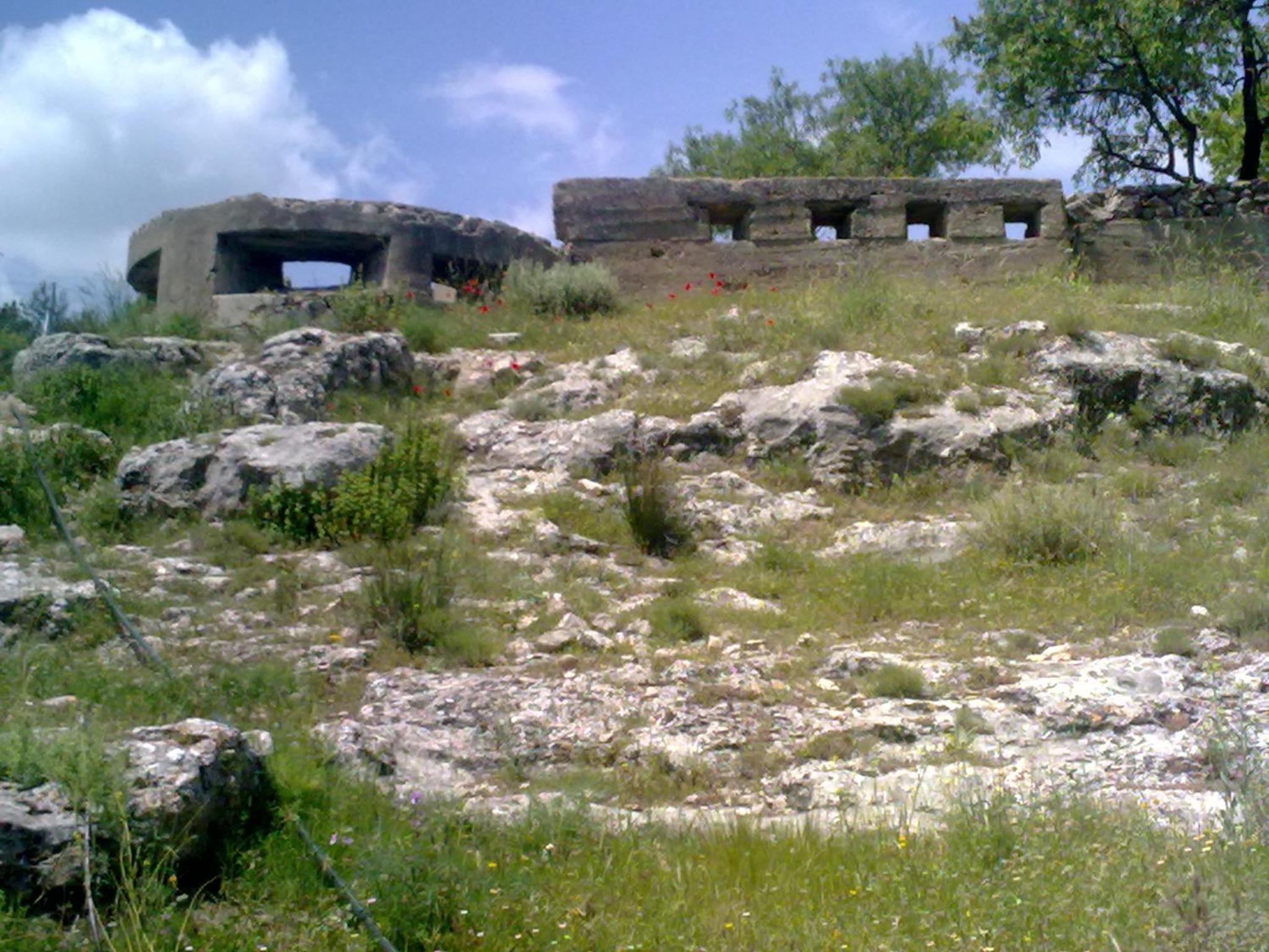 Photo 41