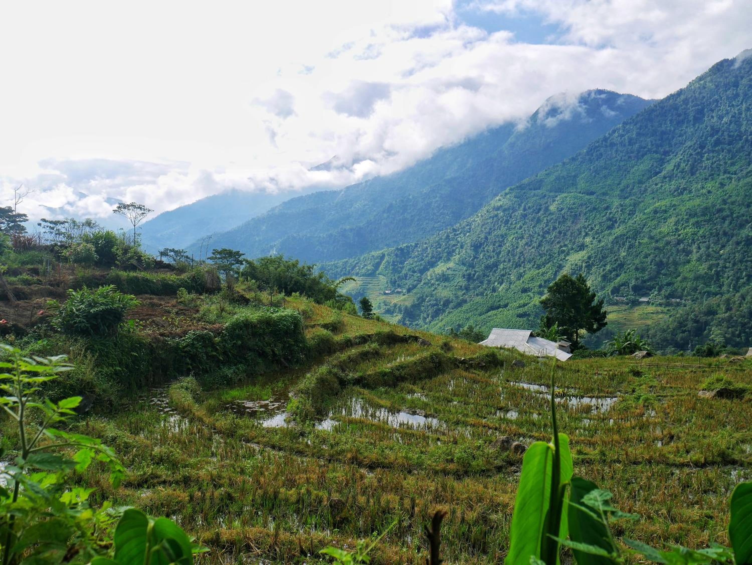 Lee's Charm Homestay view 3