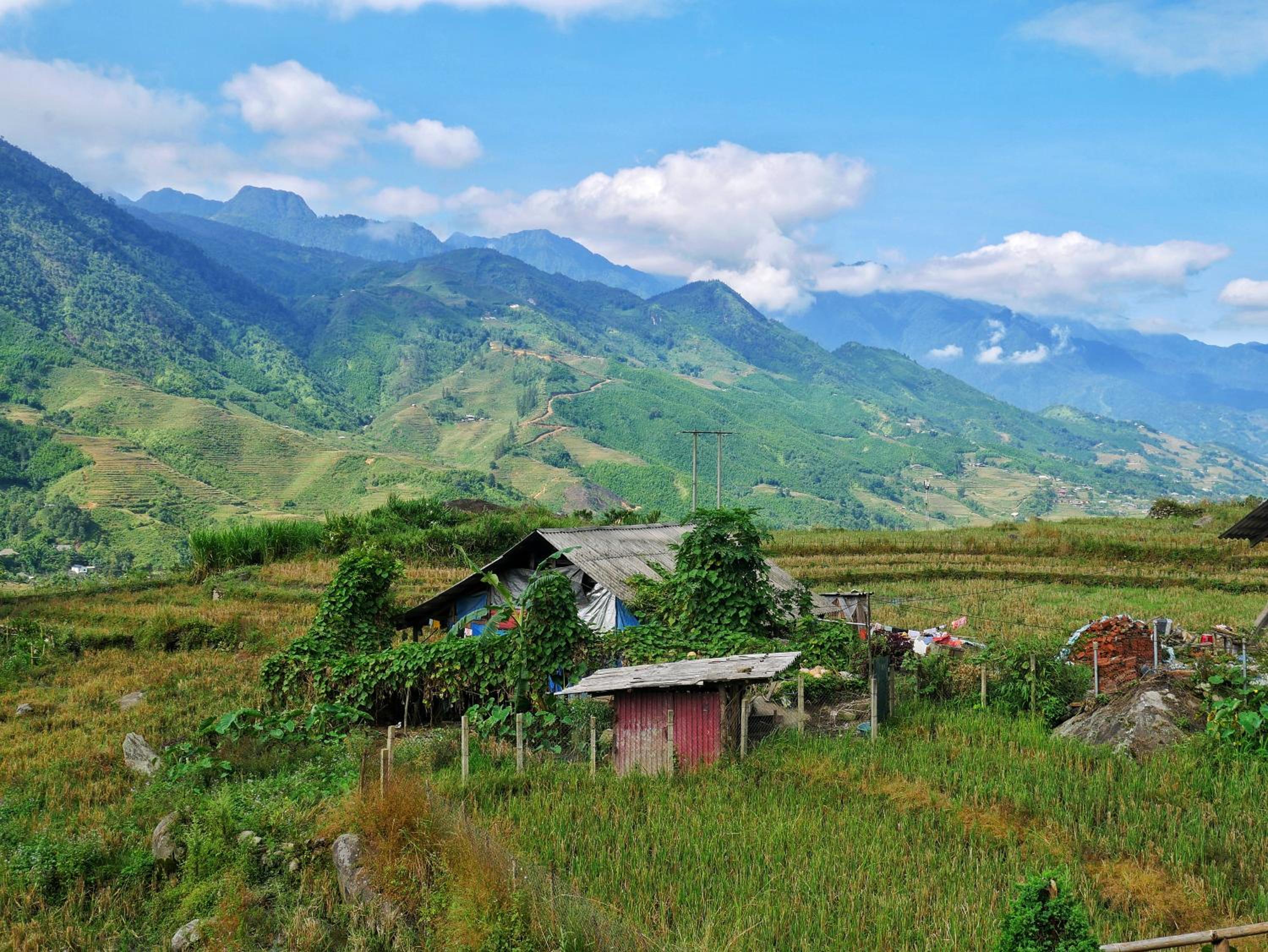 Lee's Charm Homestay view 5