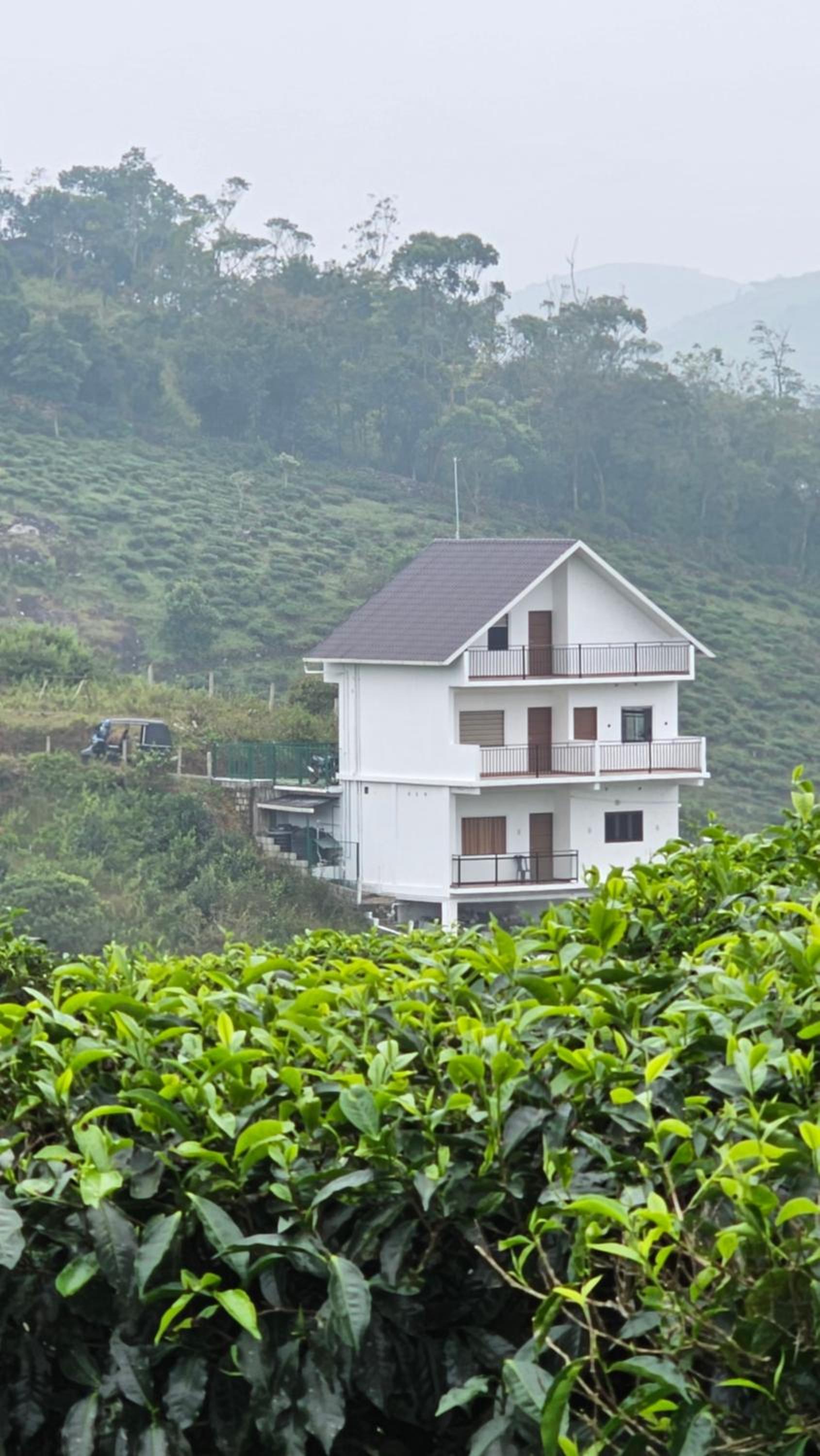 Cloudsea Homestay