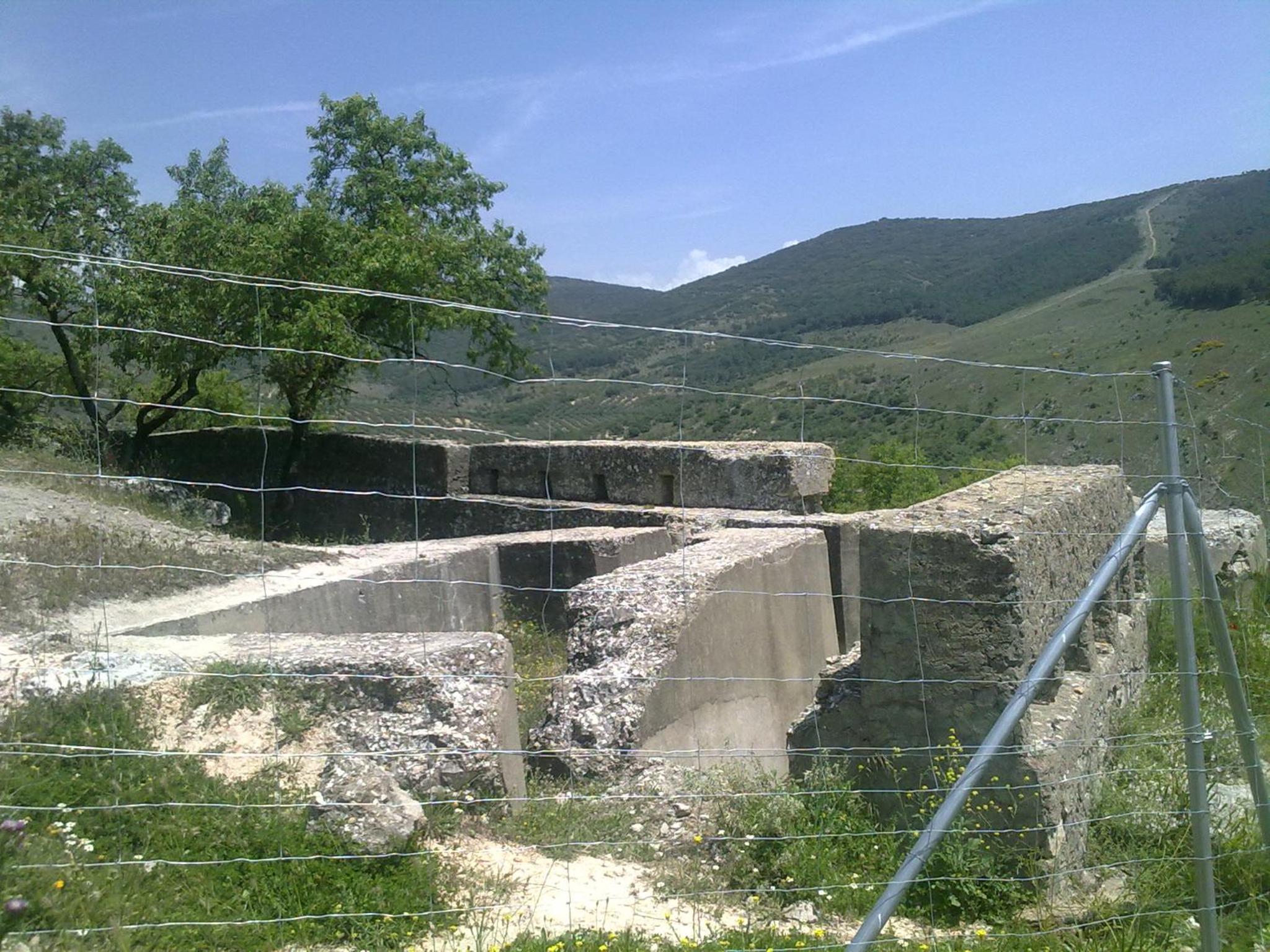 Photo 40