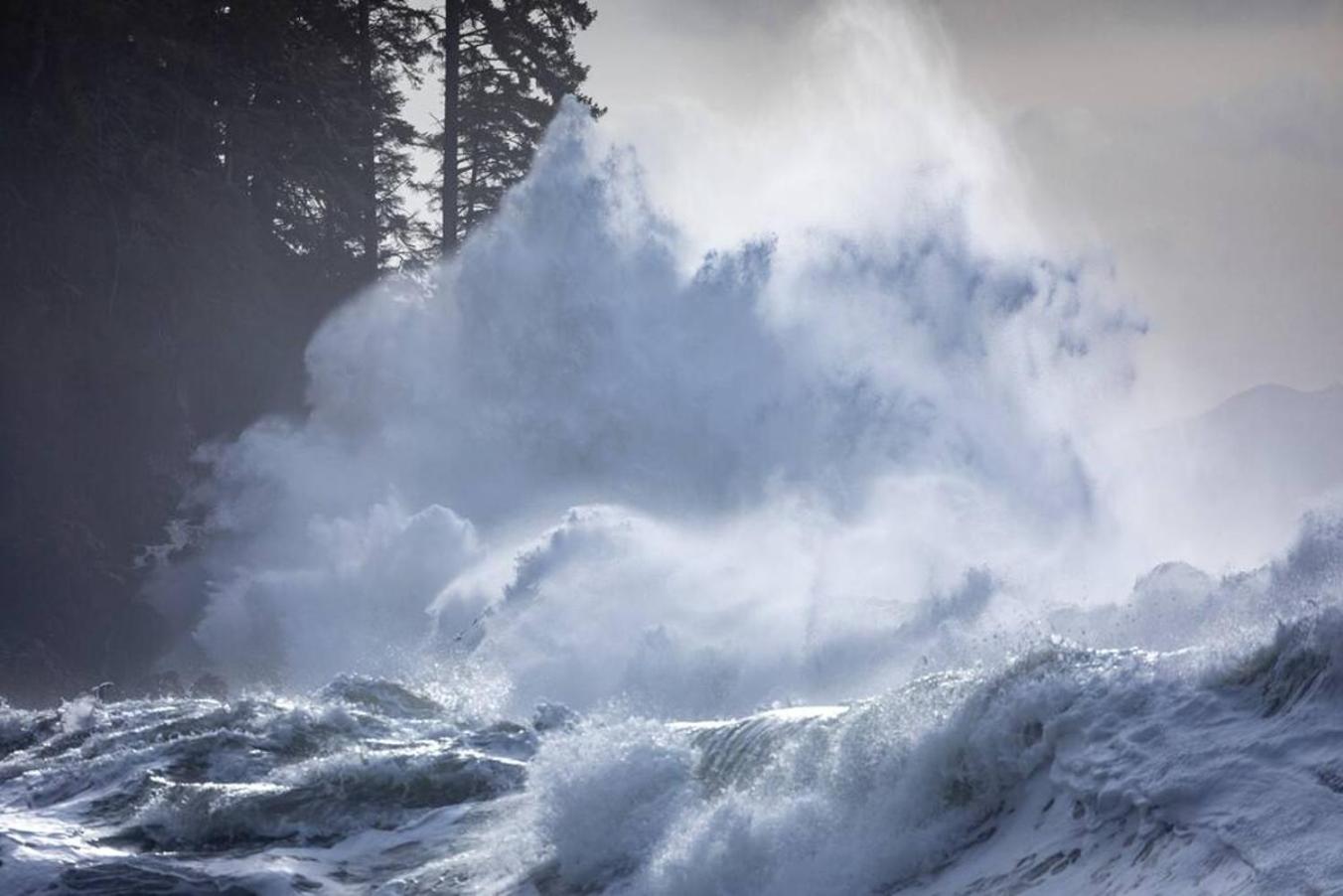 Sooke Vacations - The Great Escape - Shirley - Property Image 5