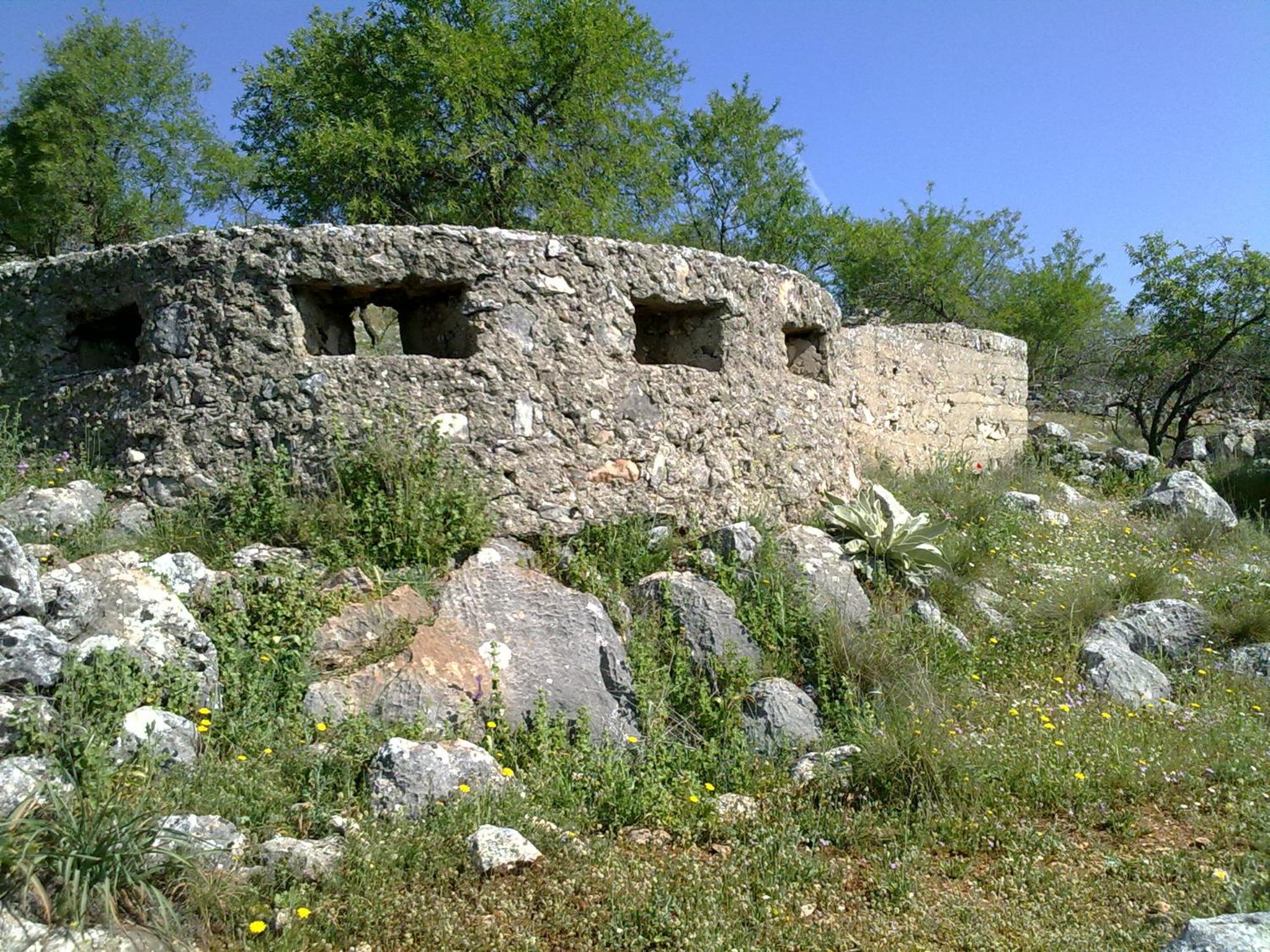 Photo 38