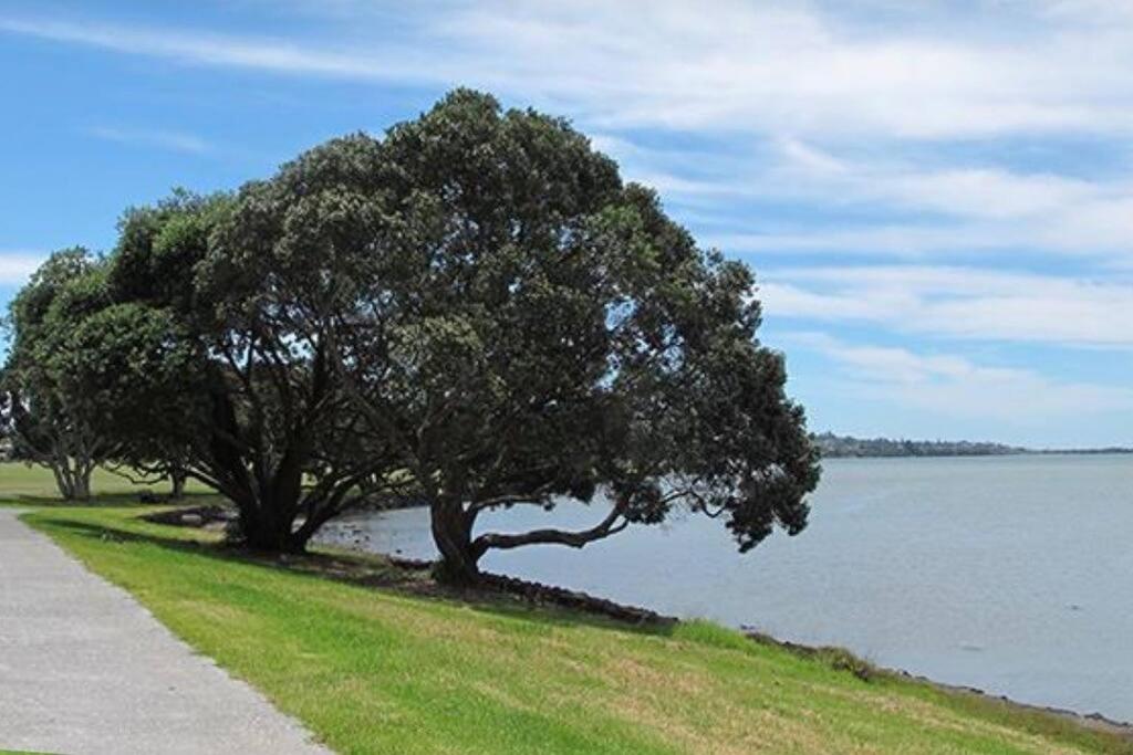 Cozy & Modern Townhouse in a Quiet Auckland Suburb view 5