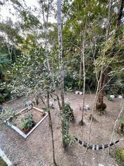 Bosque na Montanha Encantada