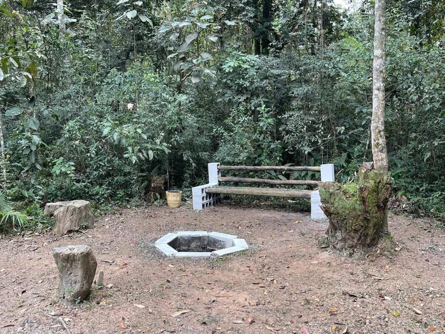 Bosque na Montanha Encantada