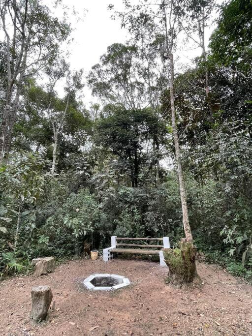 Bosque na Montanha Encantada