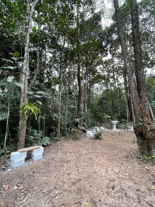 Bosque na Montanha Encantada