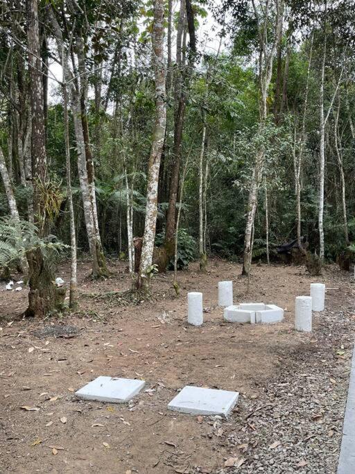 Bosque na Montanha Encantada