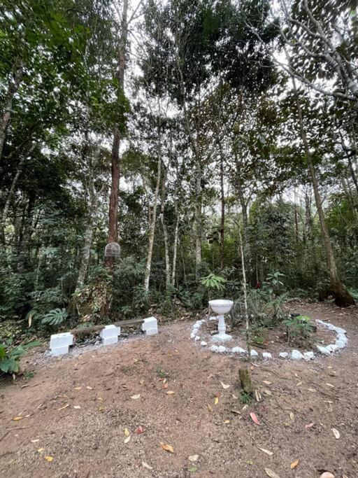 Bosque na Montanha Encantada