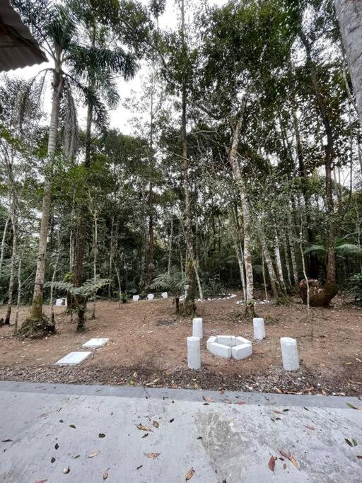 Bosque na Montanha Encantada