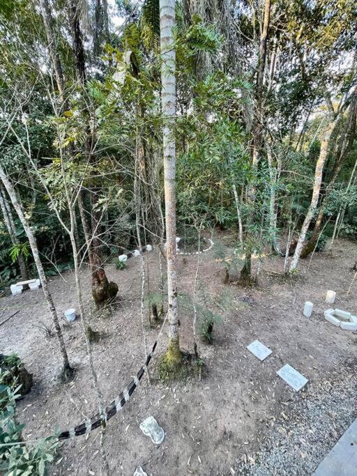 Bosque na Montanha Encantada
