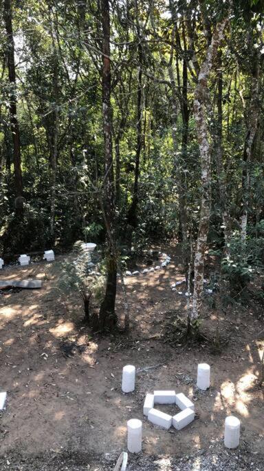 Bosque na Montanha Encantada