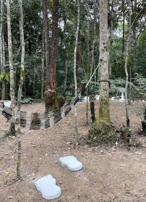 Bosque na Montanha Encantada