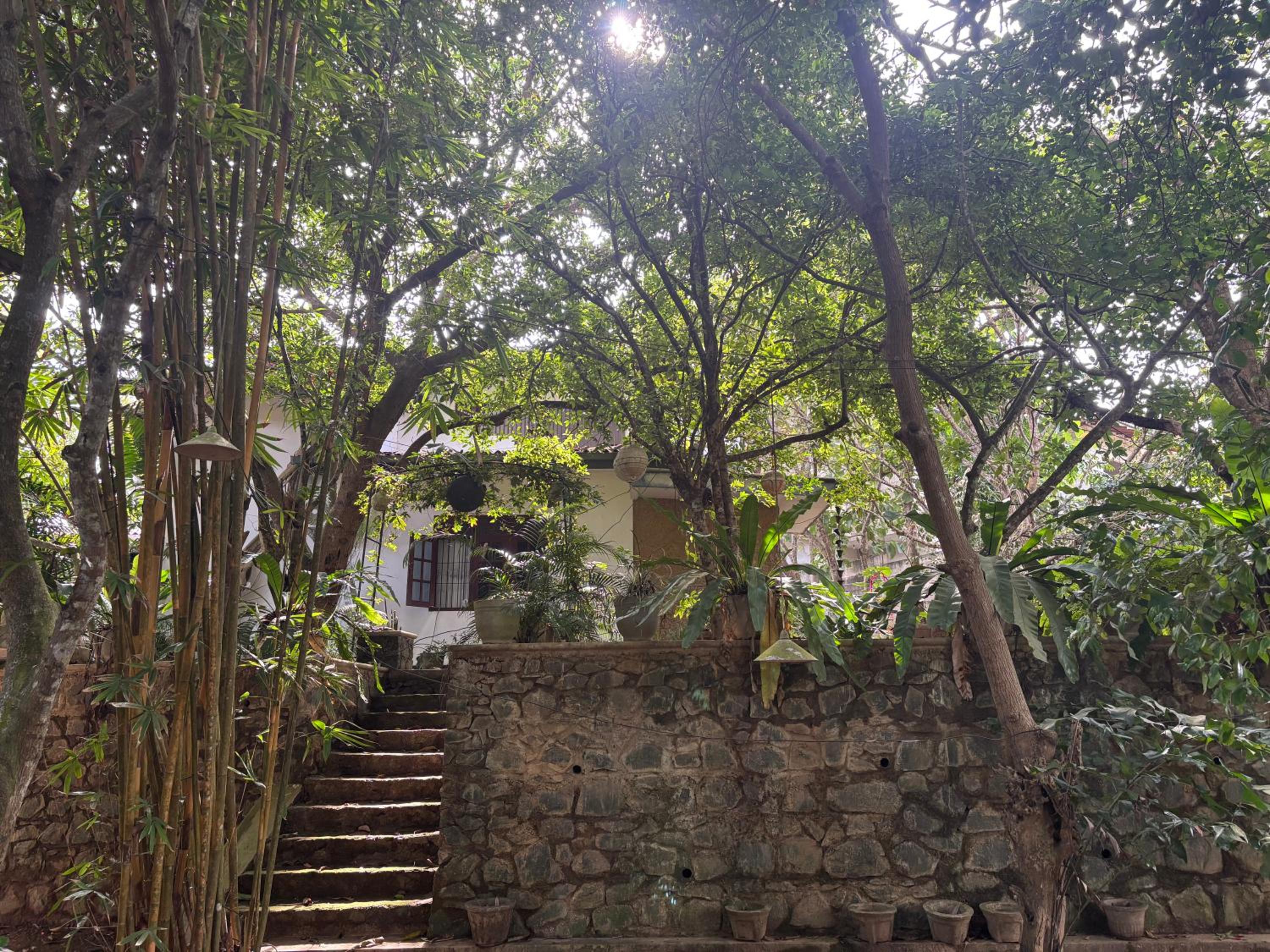 Photo 14