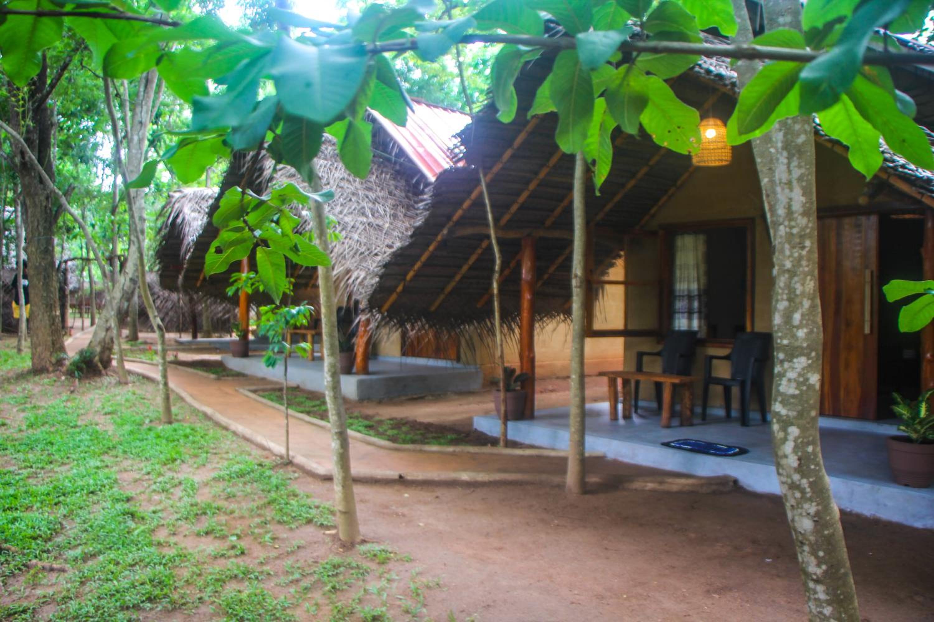 Jungle Host Hostel And Tree House view 4