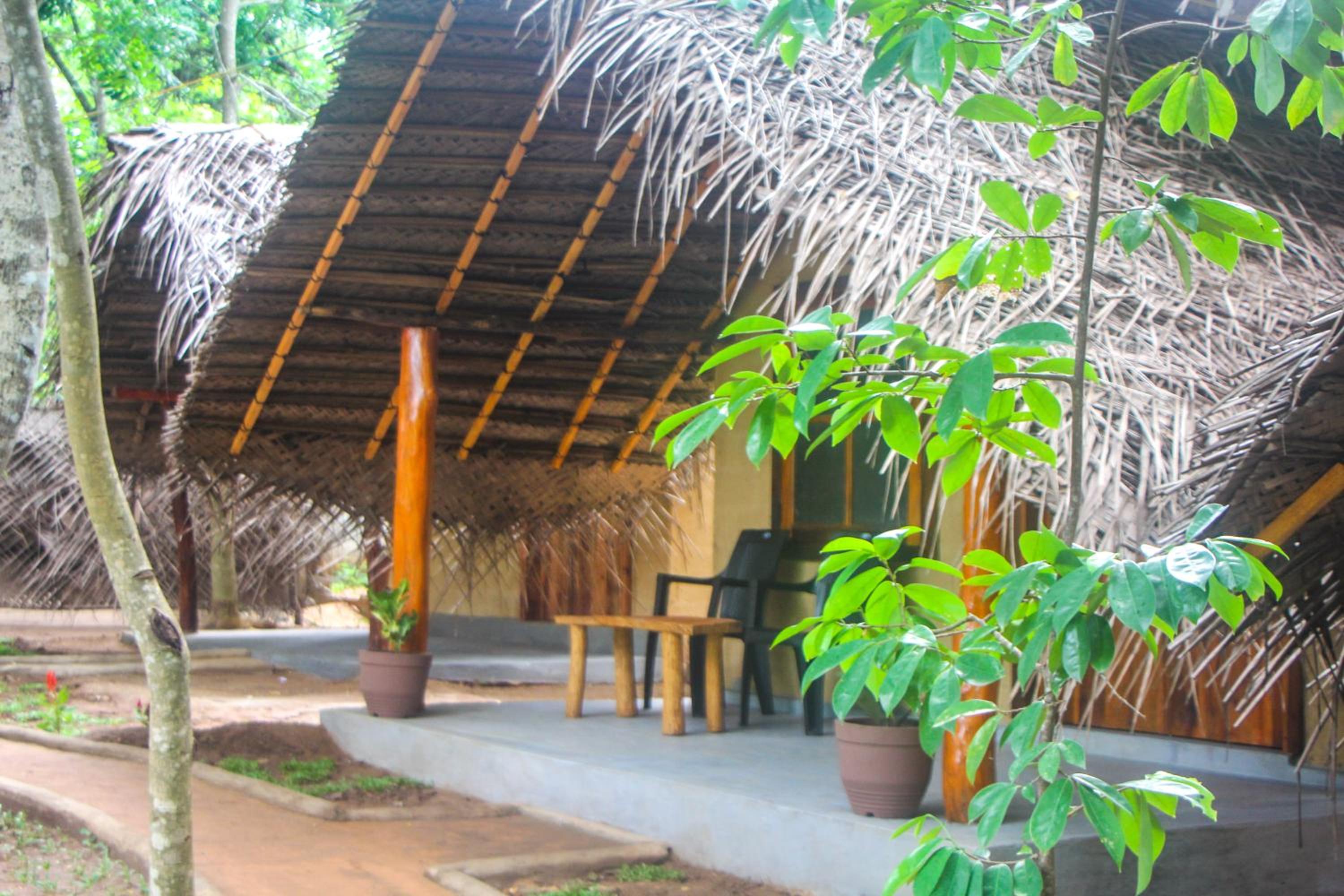 Jungle Host Hostel And Tree House view 5
