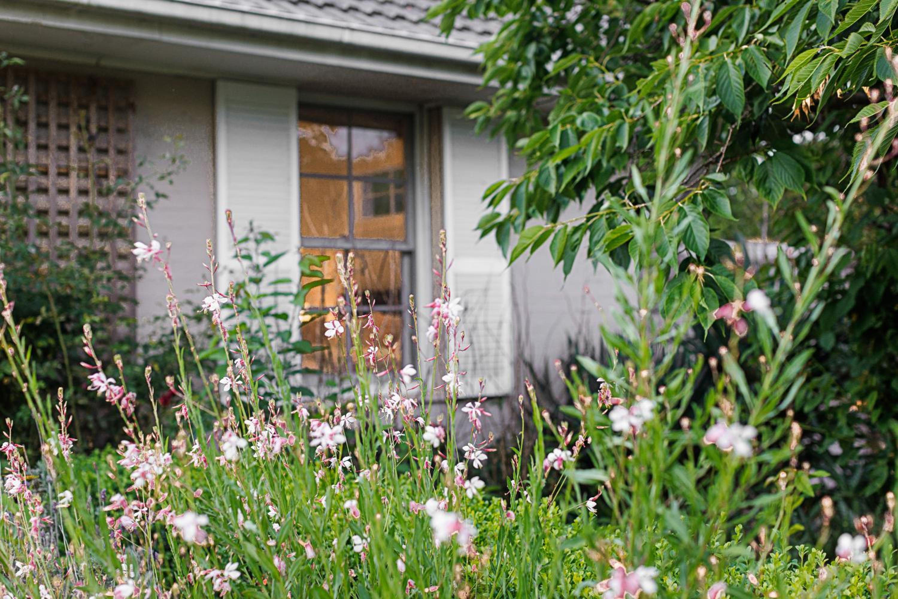 Heritage Holiday House No.17
