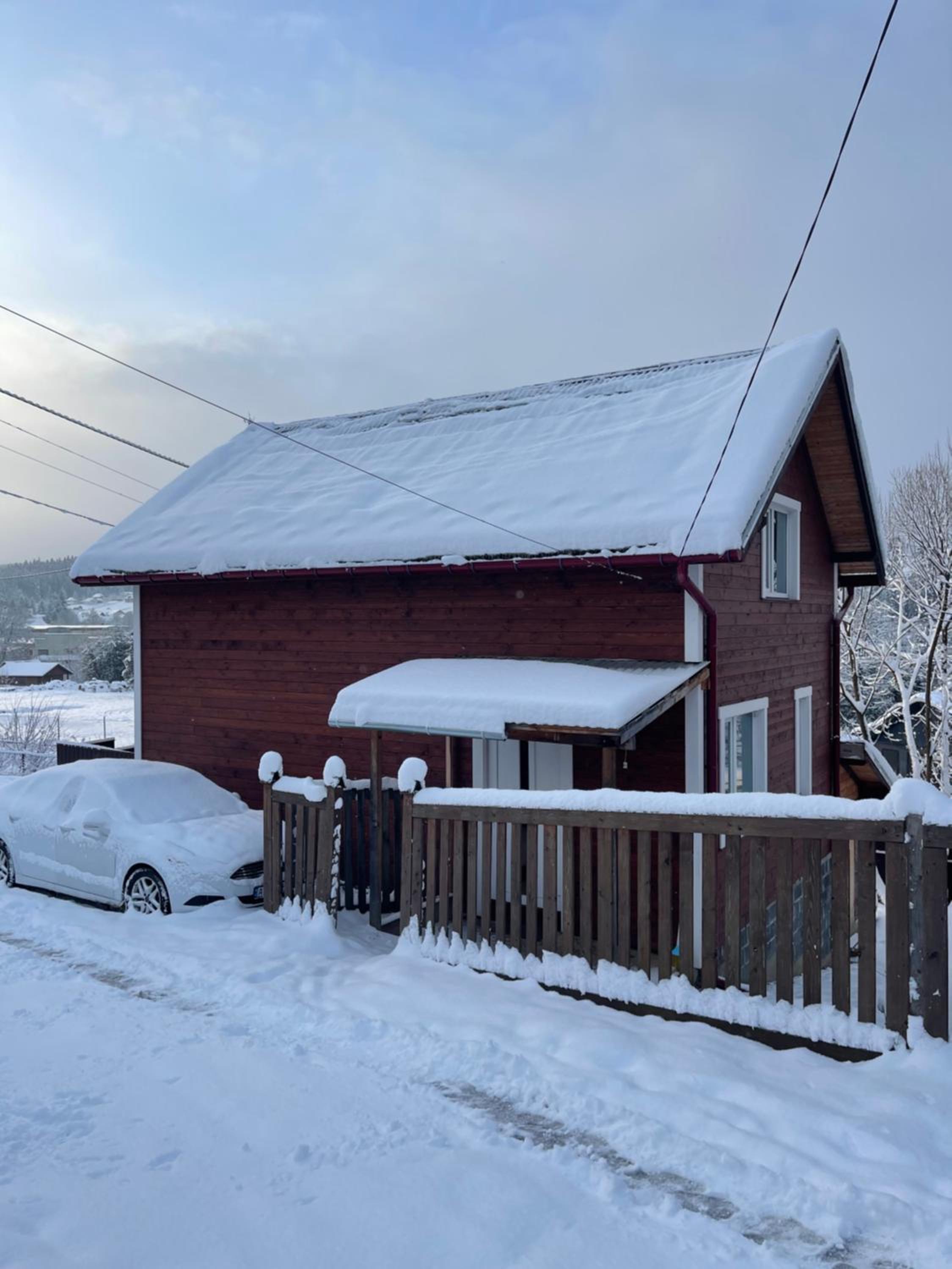 Карпатський котедж Karpatian cottage view 3