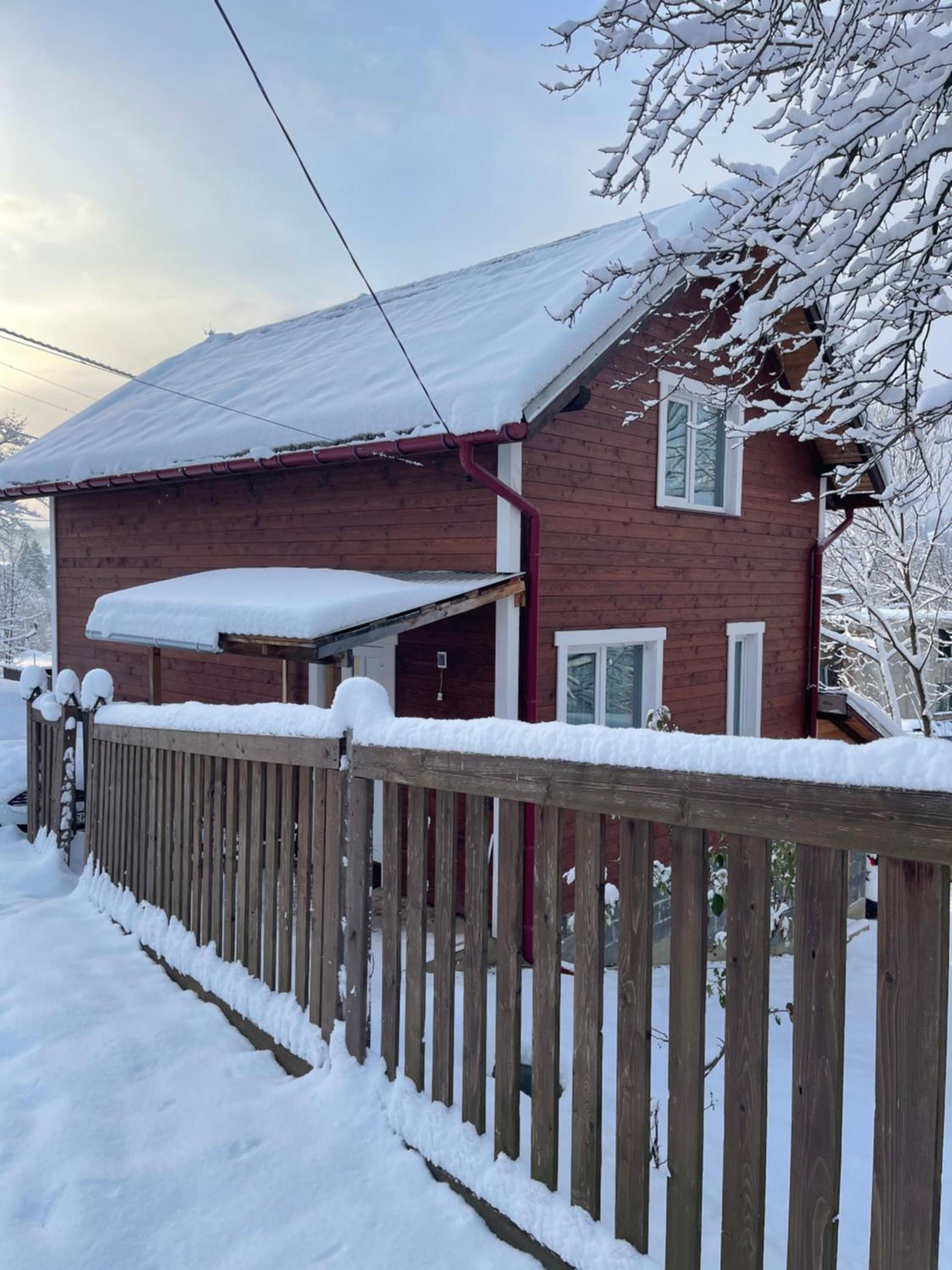 Карпатський котедж Karpatian cottage view 2